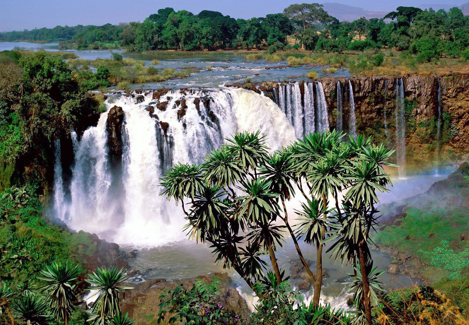 Ethiopia – the birthplace of coffee — photo published by Langdon Coffee Merchants