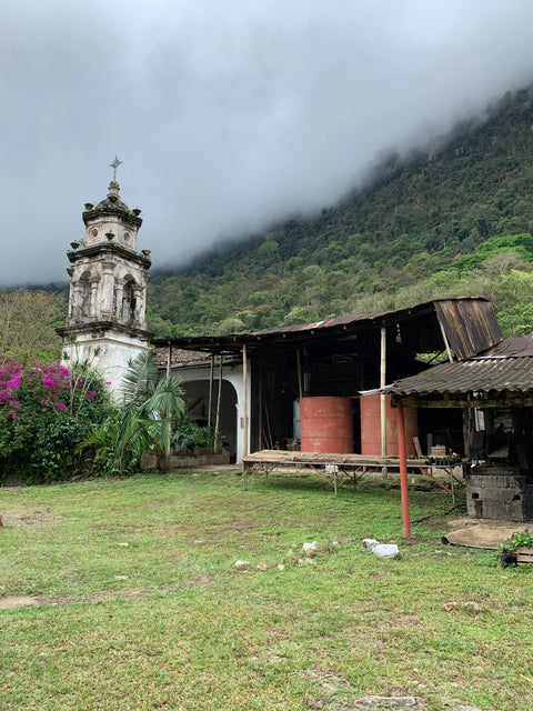 Mexico - smaller farms, independent operations, exceptional coffee production