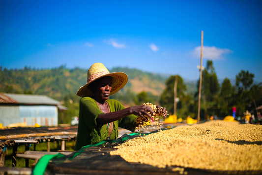 The Origin of Ethiopia