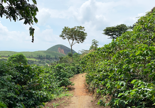 Colombia