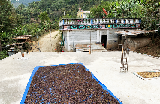 Guatemala Santa Rosa