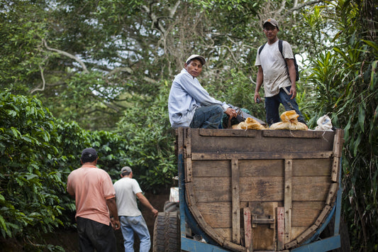 The Growth of Guatemala