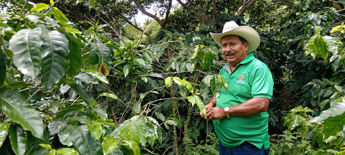 Honduras