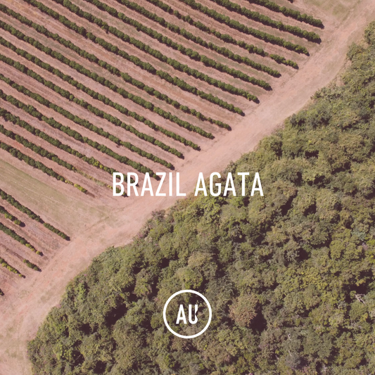Brazil Agata, 15/18, Natural, 30kg, PP