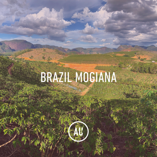 Brazil Mogiana NY 2/3 14/16 30KG Paper