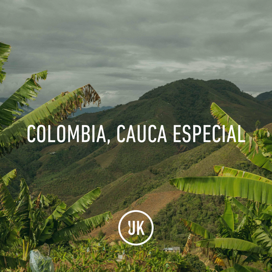 Colombia Cauca Especial 83+ Washed 70kg GP