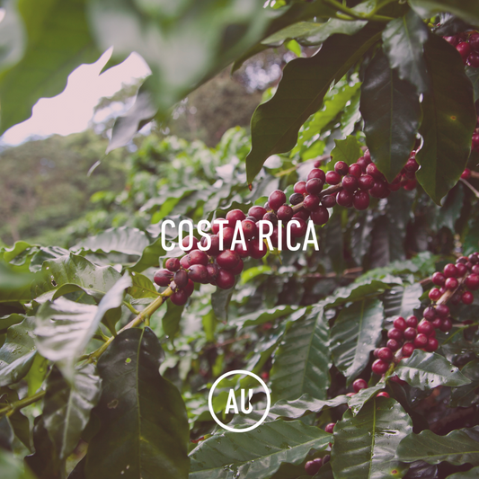 Costa Rica HB EP 69kg GP