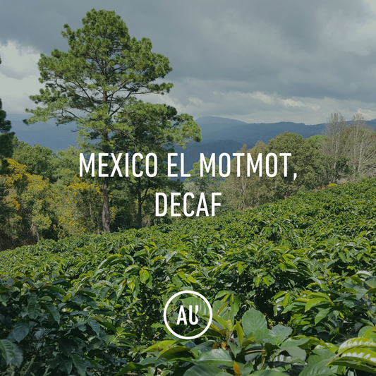Mexico El Motmot Mountain Water Decaf 30KG Organic